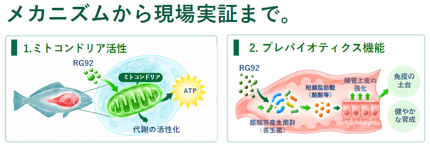 ONSOH メカニズムから現場実証まで